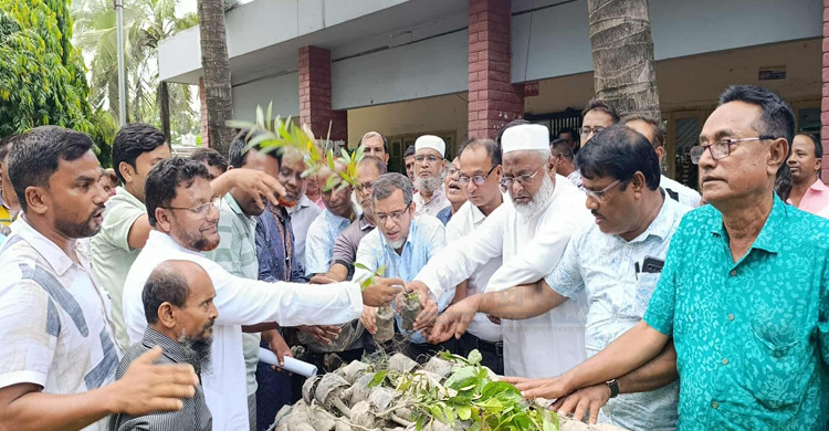 বিরামপুরে বিএনপির বৃক্ষরোপণ কর্মসূচি ও ২১ হাজারের বেশি চারা বিতরণ